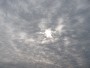 Altostratus opacus