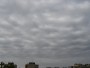 Stratocumulus stratiformis opacus