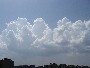 Cumulus congestus