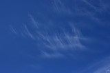 Cirrus fibratus