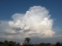 Cumulonimbus capillatus