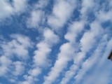 Altocumulus radiatus