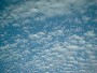 Altocumulus