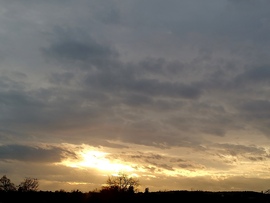 Polgárdi 