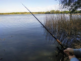Tavaszi horgászat a Tisza-tavon