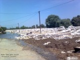 Edelény 2010 06 11