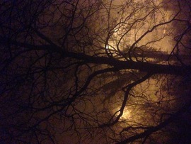 városi köd