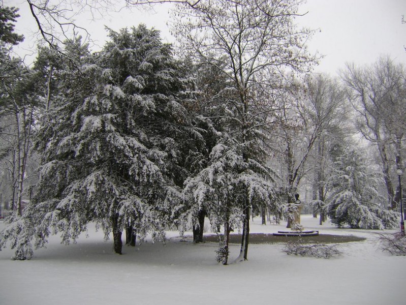 Petőfi-park, Makó