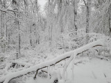 A havas Zengő - Jáhn Bálint