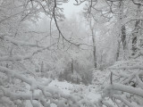 A havas Zengő - Jáhn Bálint