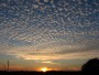 Altocumulus floccus