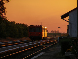 Kispiros naplementében Hajdúdorogon - 2014 július