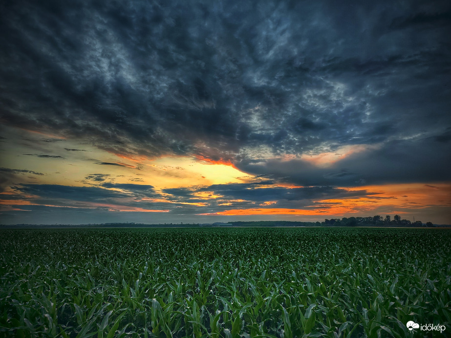 Erősen felhős naplemente a kukoricáson