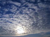 Altocumulus perlucidus