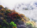 Ködös ősz