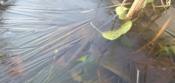 Közel voltunk a -10 fokhoz