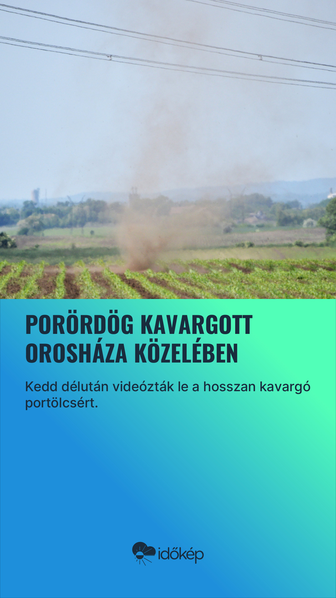 Porördög kavargott Orosháza közelében