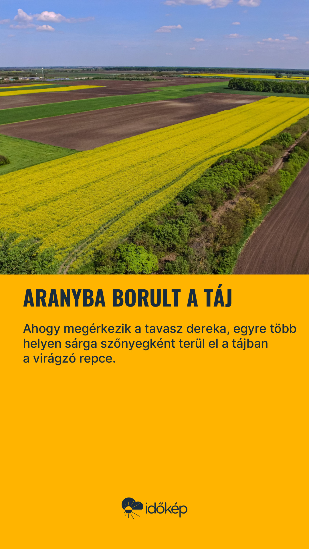 Aranyba borult a táj