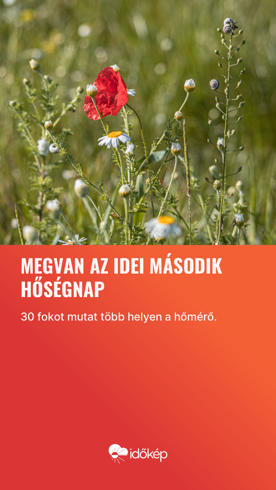 Megvan az idei második hőségnap