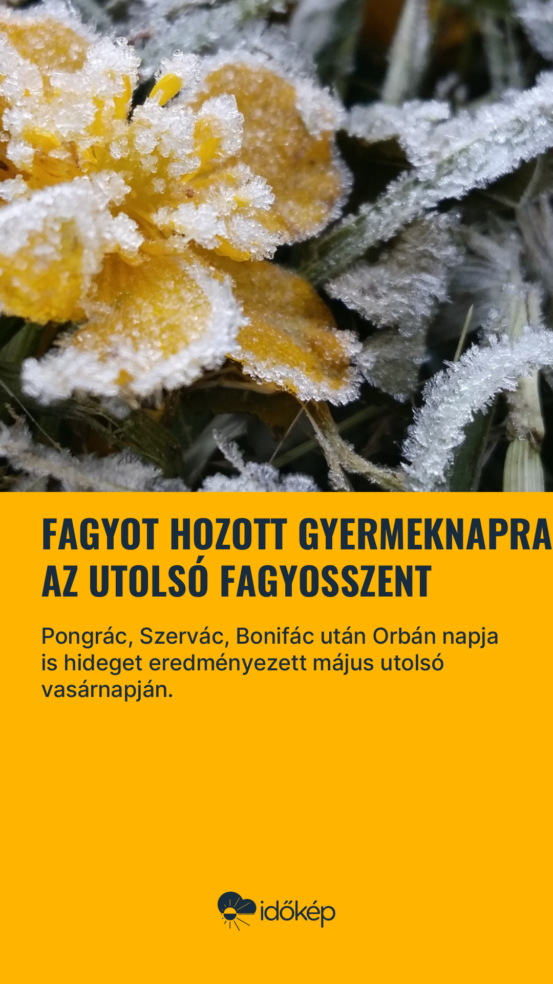 Fagyot hozott gyermeknapra az utolsó fagyosszent