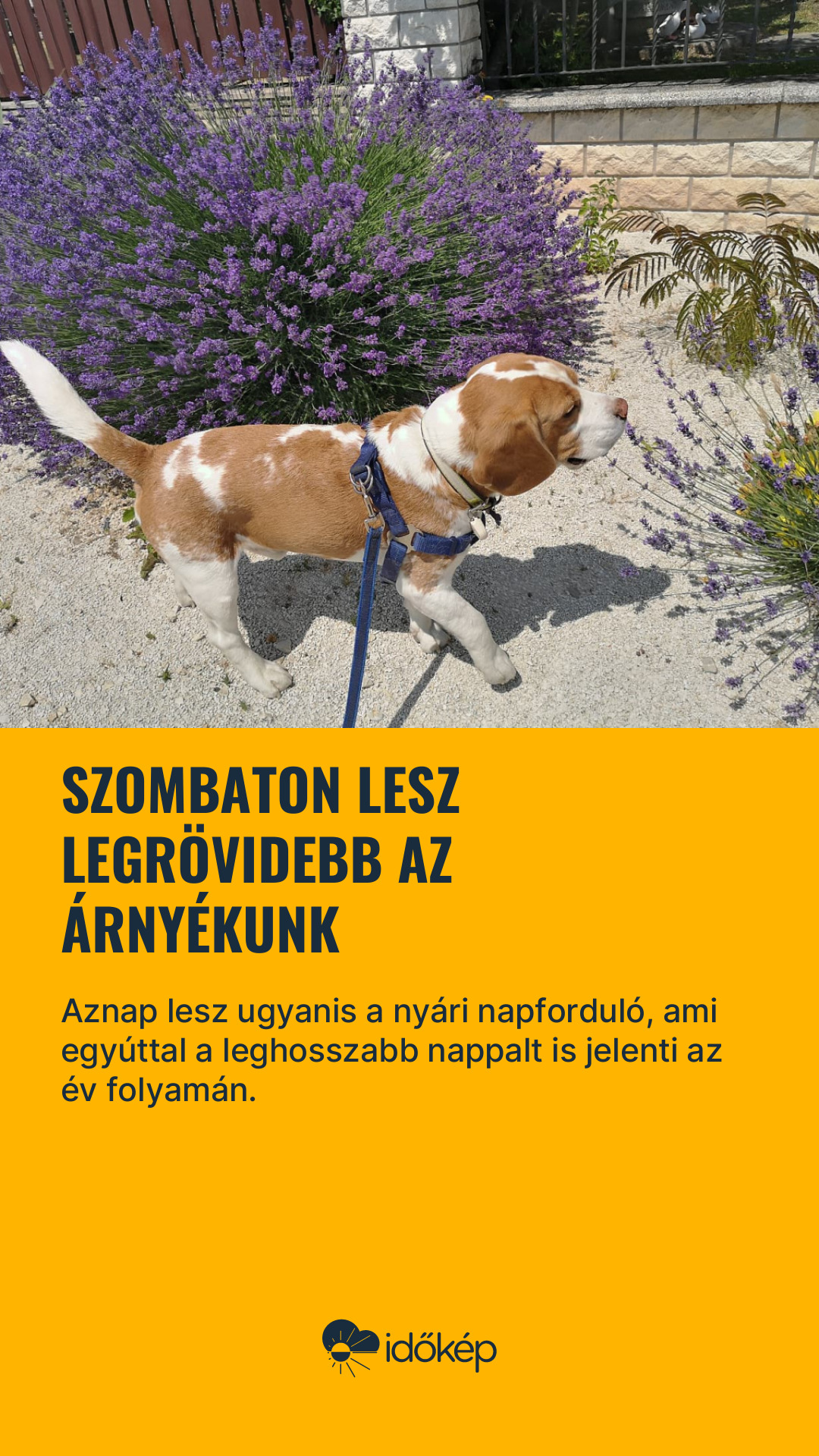 Szombaton lesz legrövidebb az árnyékunk