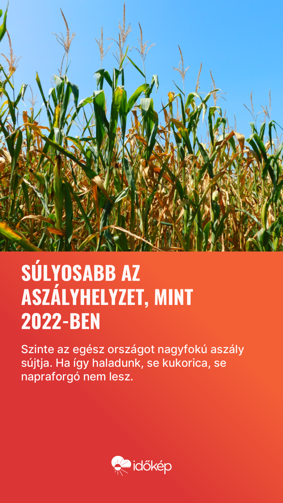 Súlyosabb az aszályhelyzet, mint 2022-ben