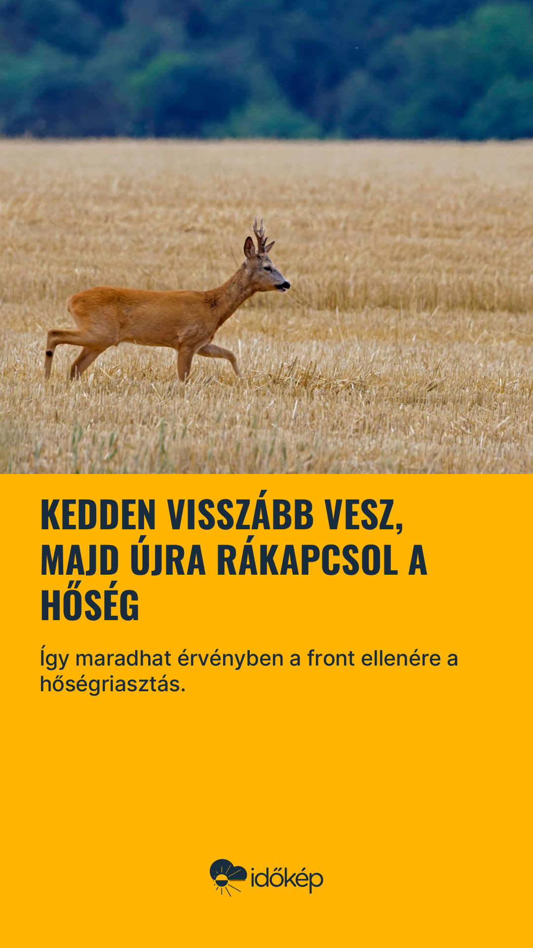 Kedden visszább vesz, majd újra rákapcsol a hőség