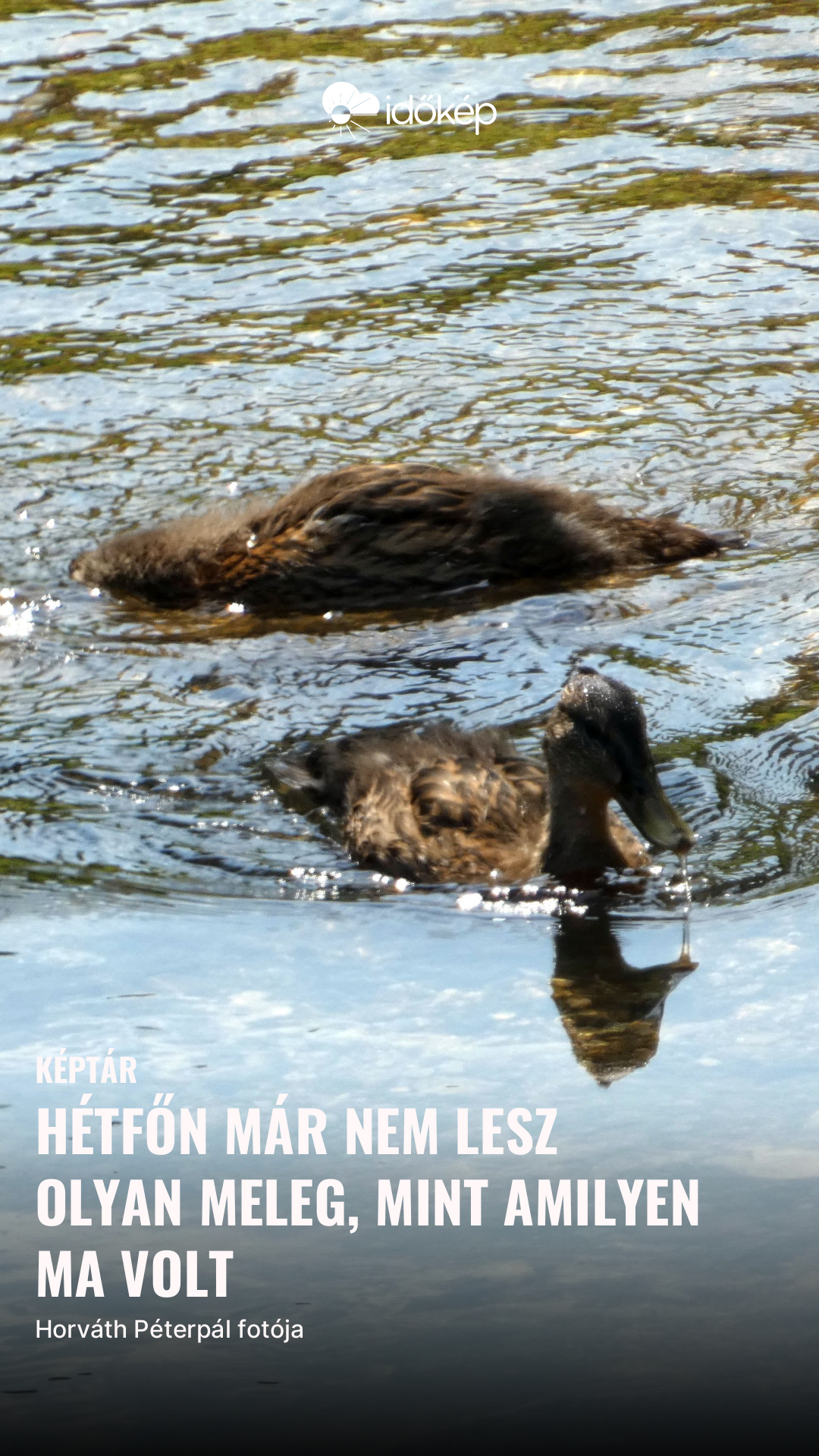 Hétfőn már nem lesz olyan meleg, mint amilyen ma volt