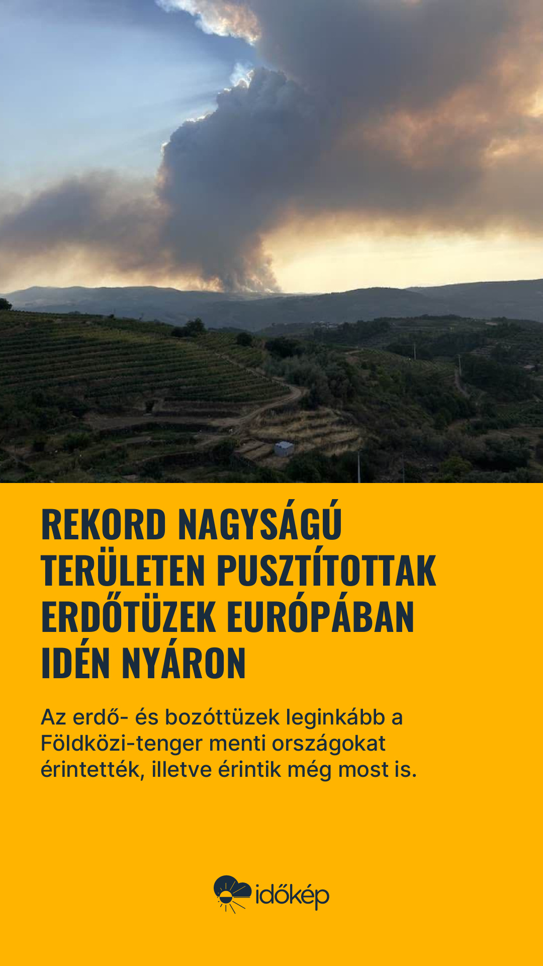 Rekord nagyságú területen pusztítottak erdőtüzek Európában idén nyáron