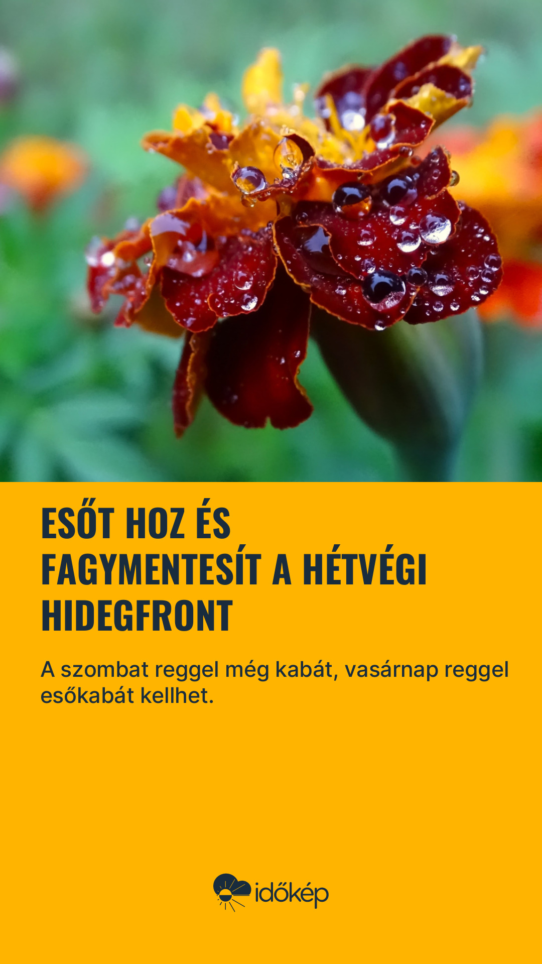 Esőt hoz és fagymentesít a hétvégi hidegfront