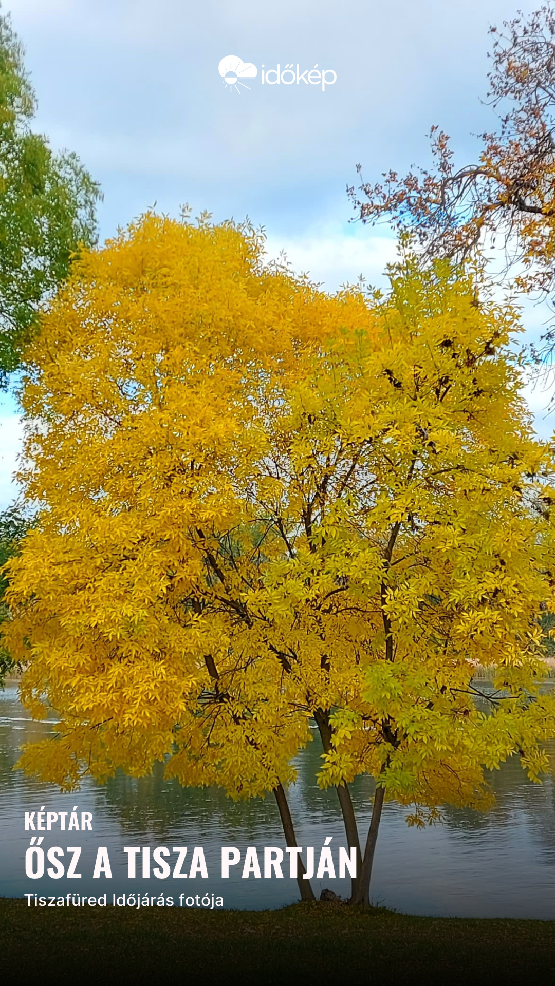 Ősz a Tisza partján