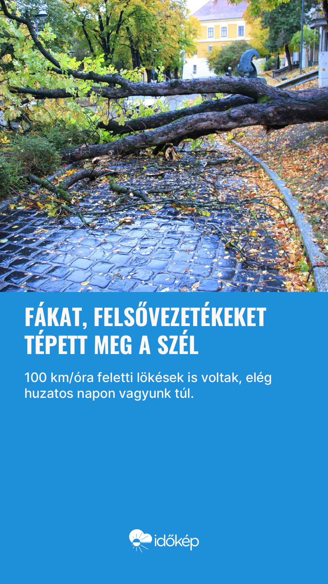Fákat, felsővezetékeket tépett meg a szél