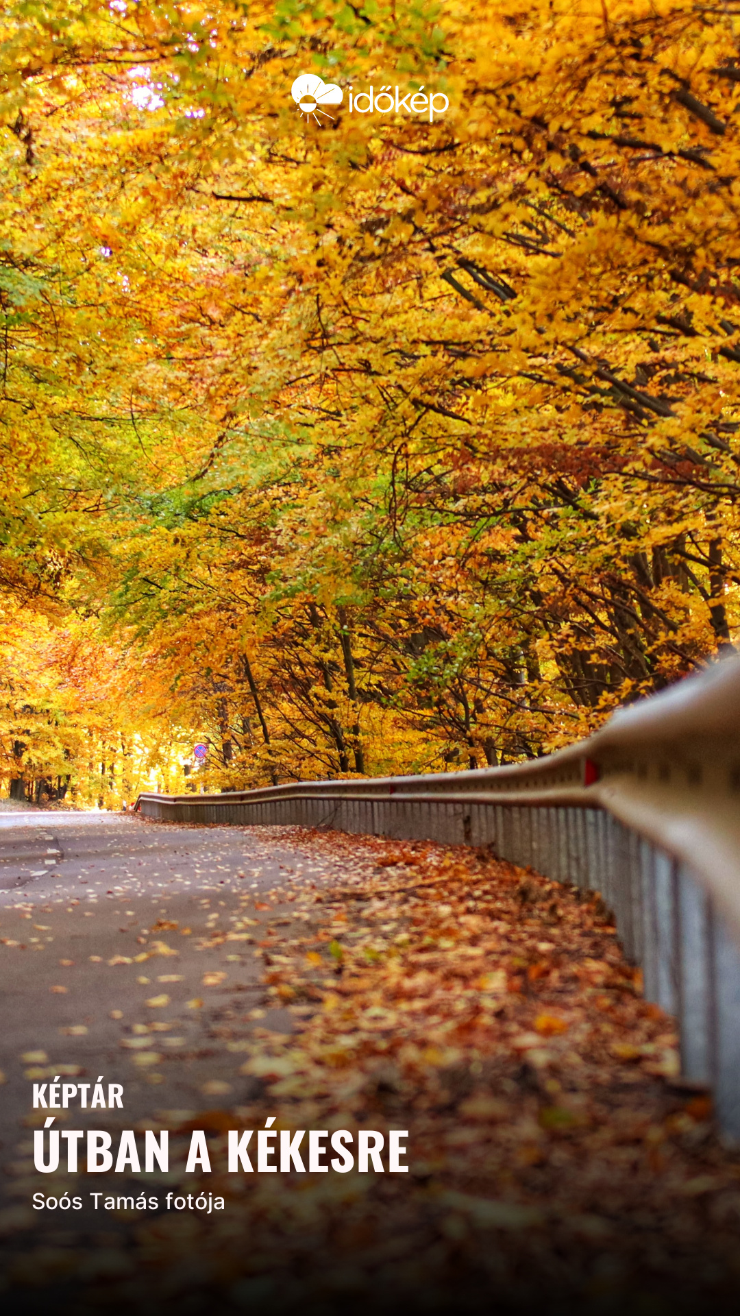 útban a Kékesre