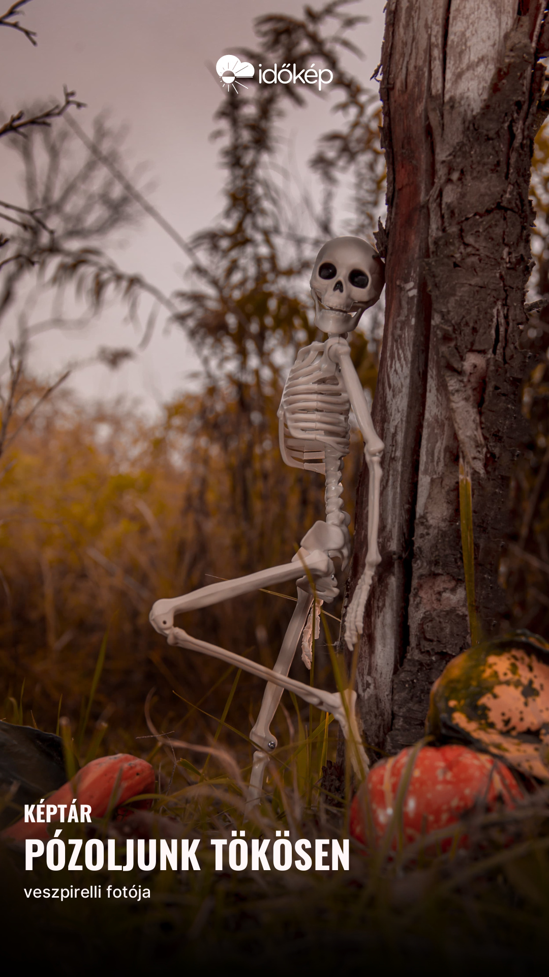 Pózoljunk tökösen