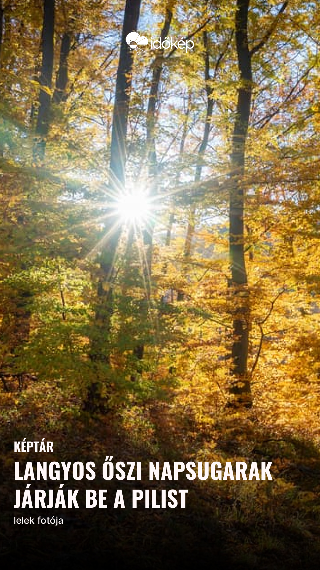 Langyos őszi napsugarak járják be a Pilist
