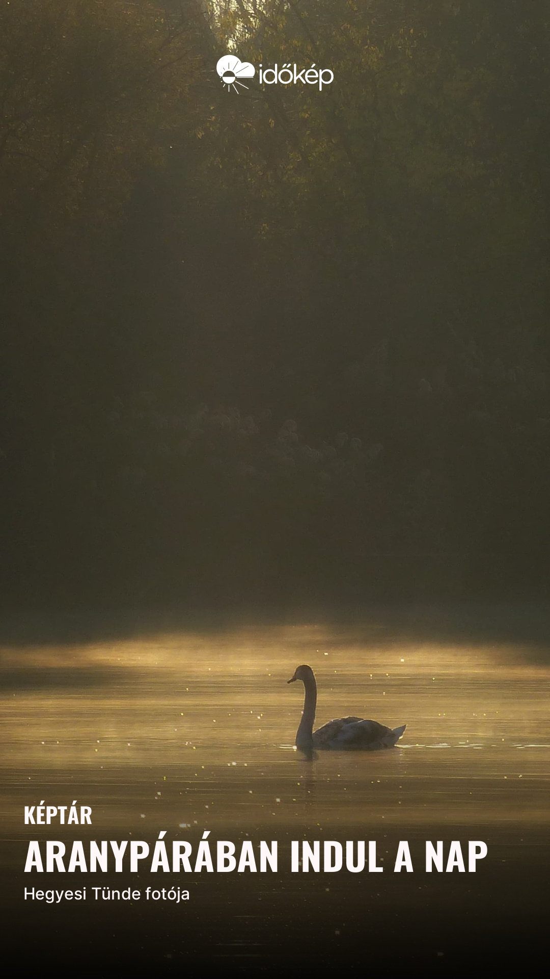 Aranypárában indul a nap