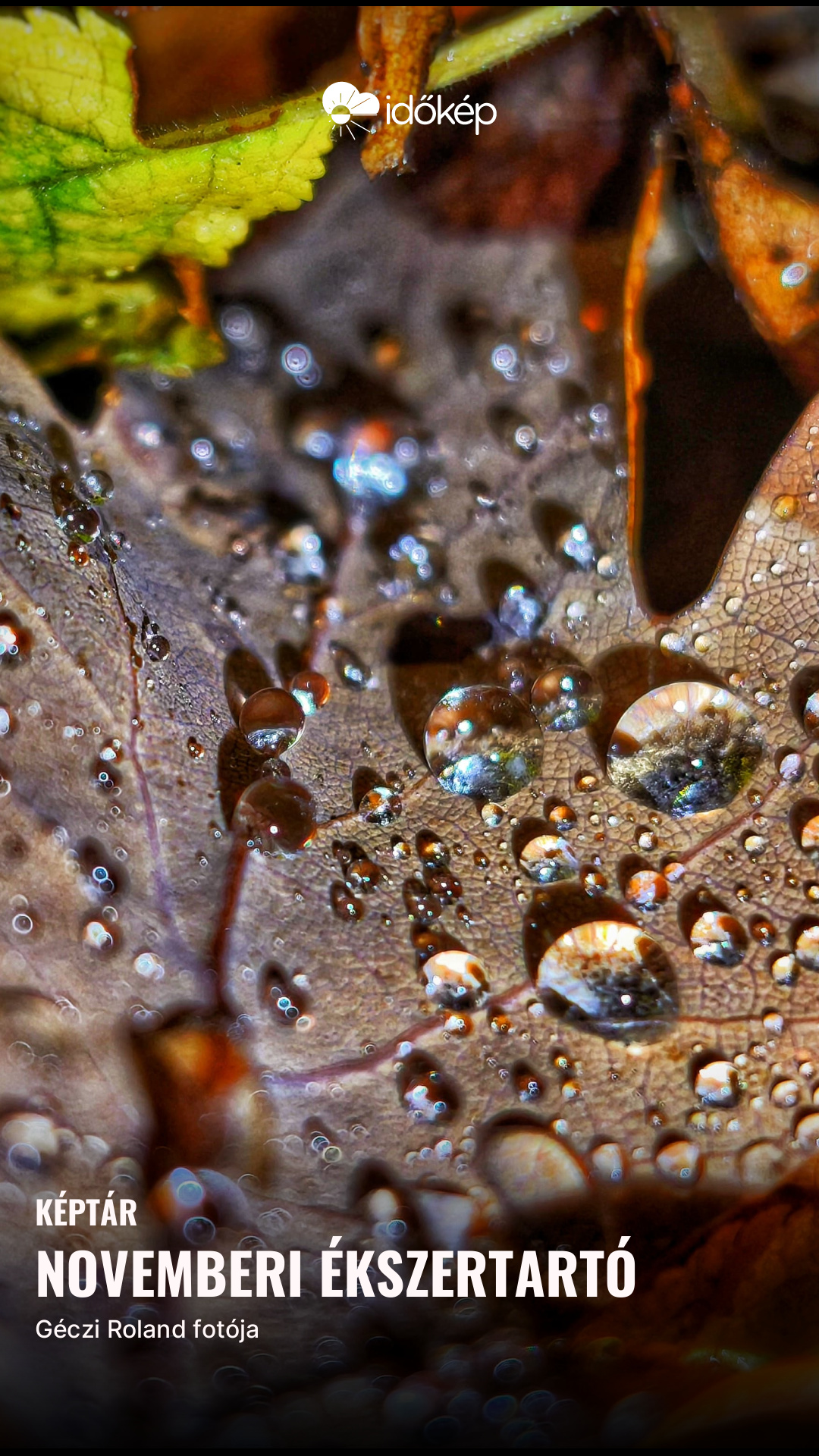 Novemberi ékszertartó