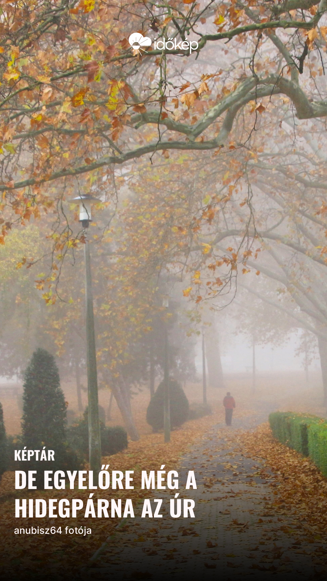 De egyelőre még a hidegpárna az úr