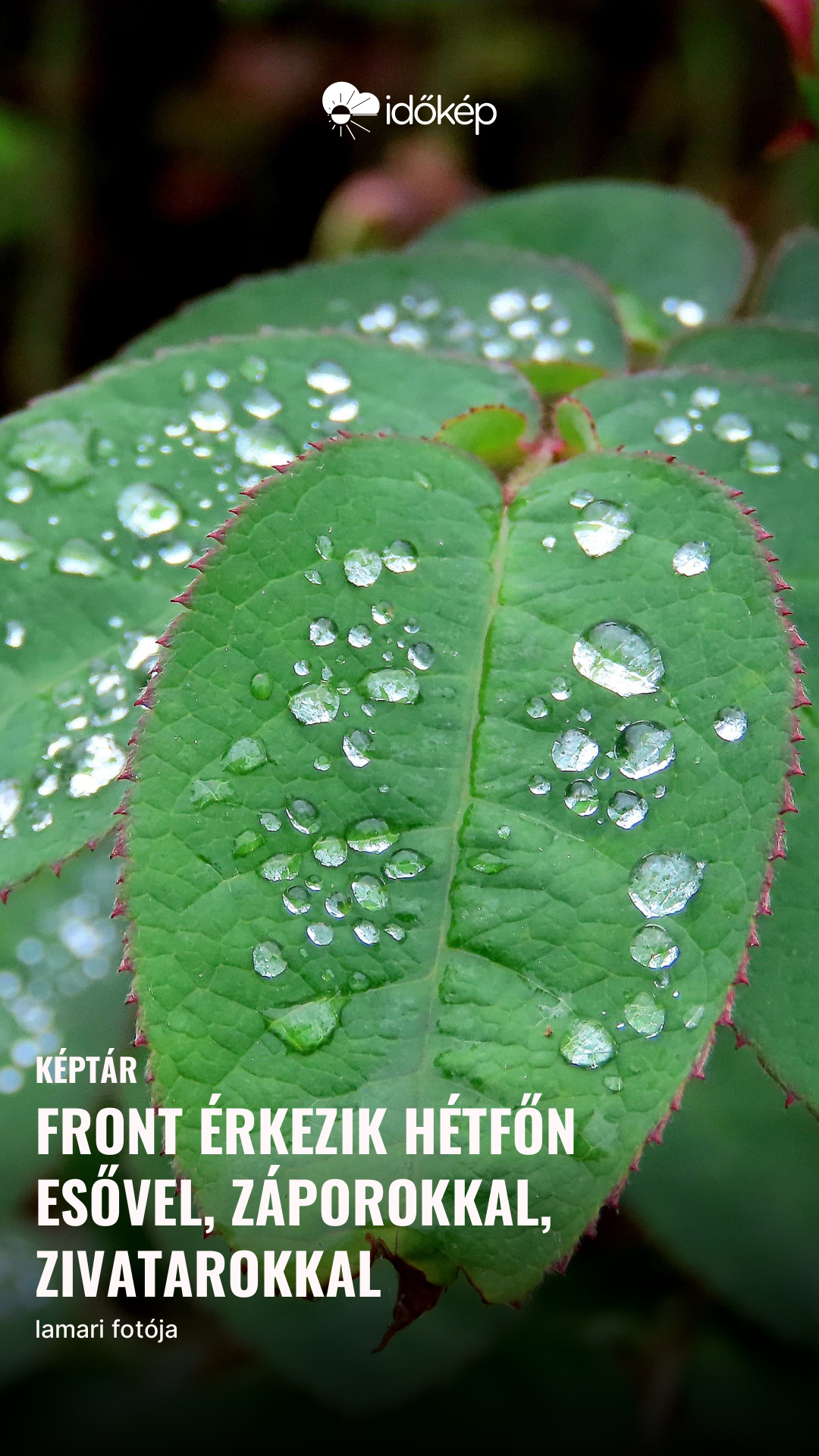 Front érkezik hétfőn esővel, záporokkal, zivatarokkal