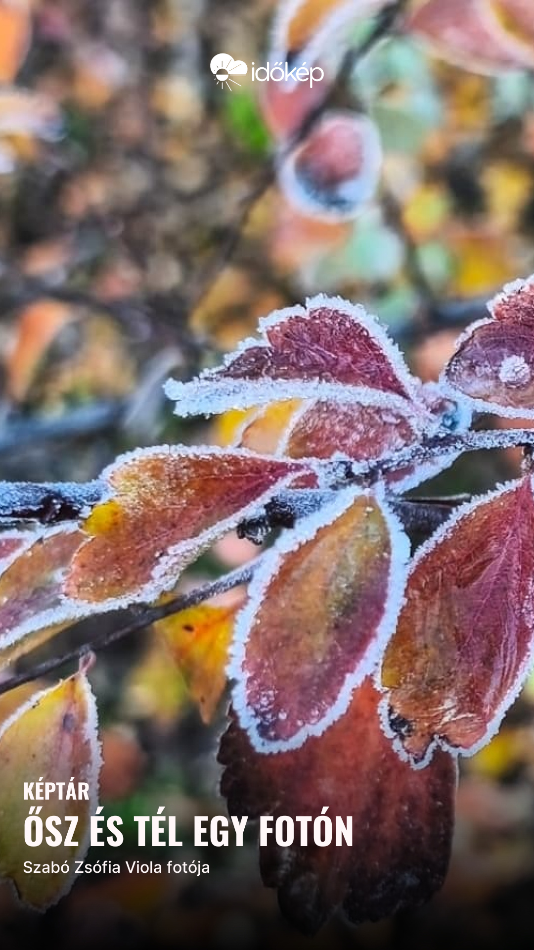 Ősz és tél egy fotón 