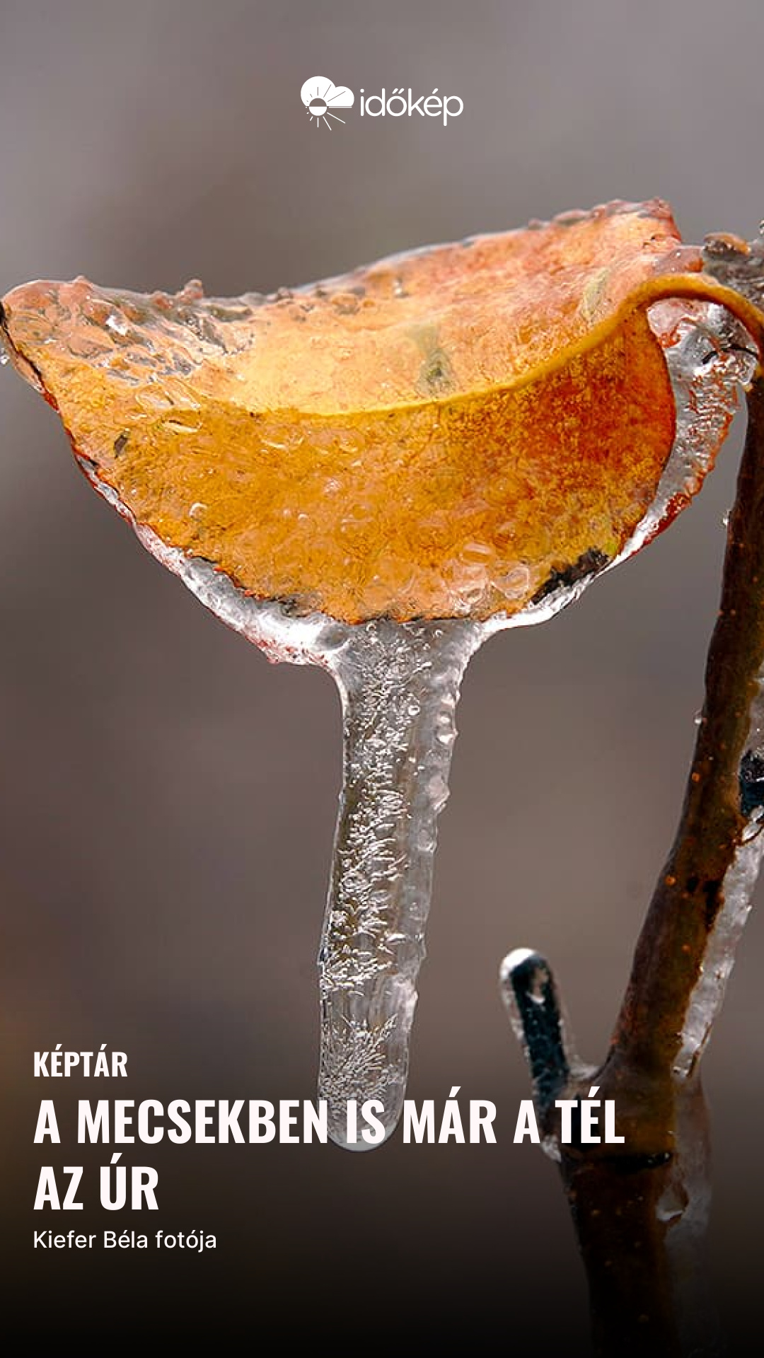 A Mecsekben is már a tél az úr