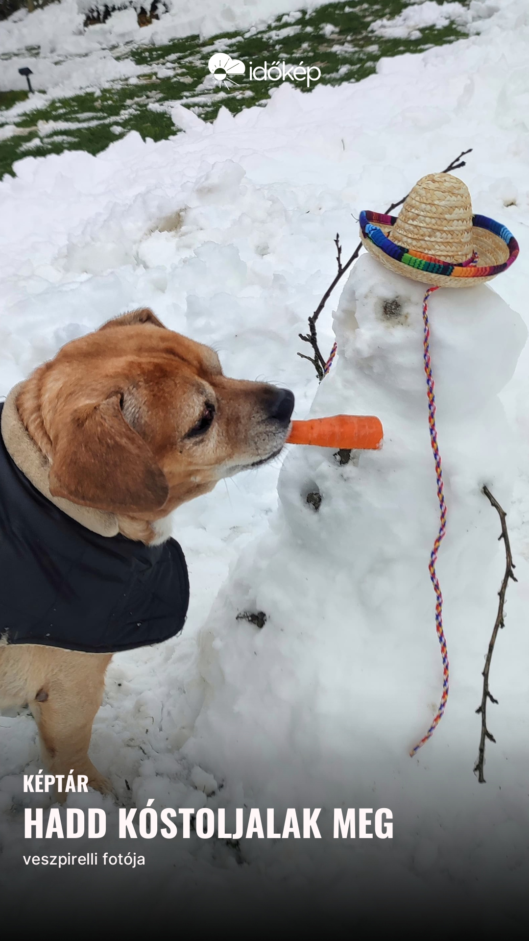 Hadd kóstoljalak meg