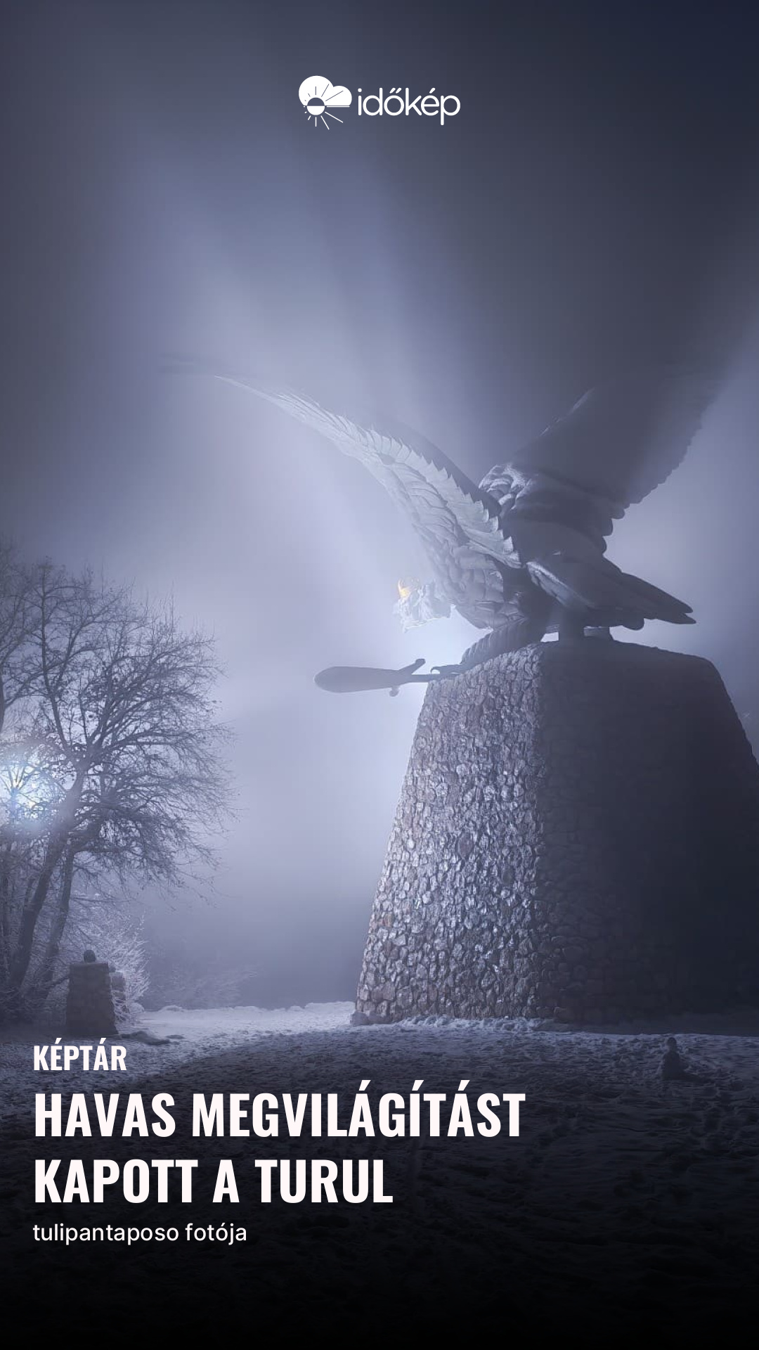 havas megvilágítást kapott a turul