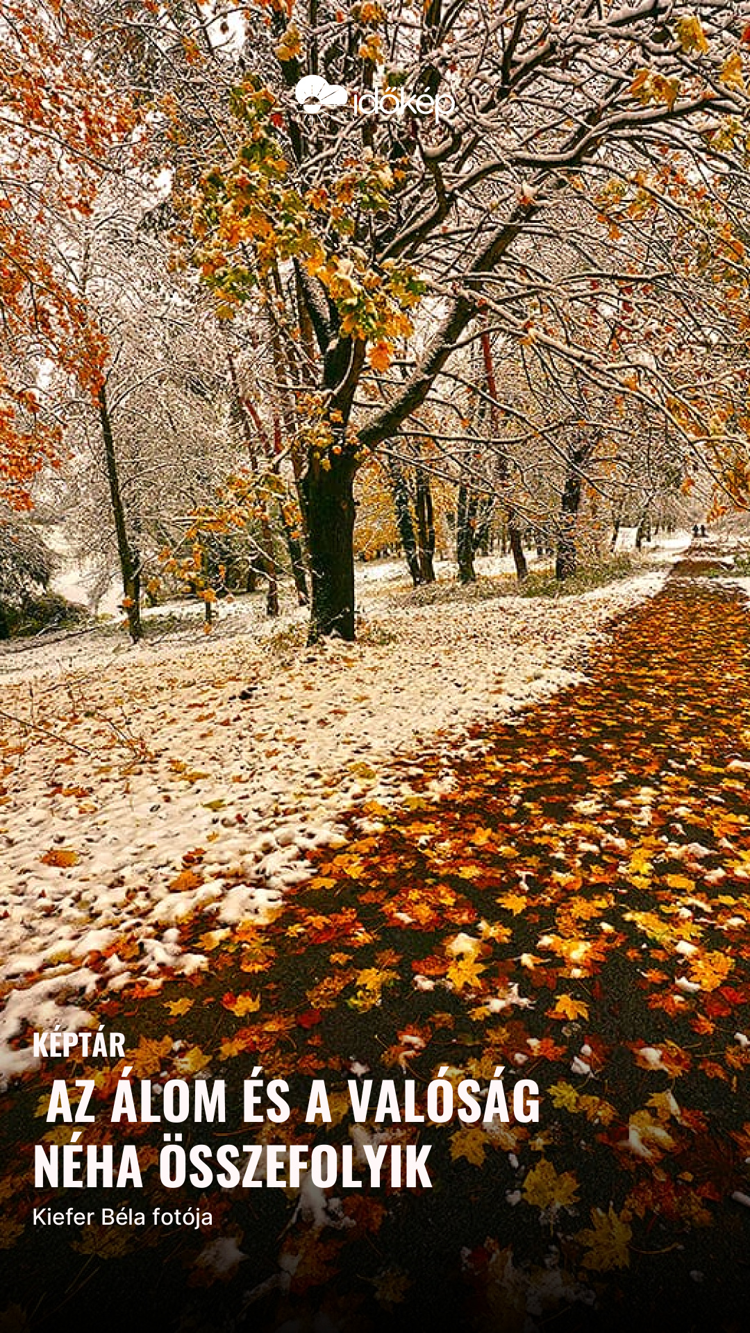  Az álom és a valóság néha összefolyik
