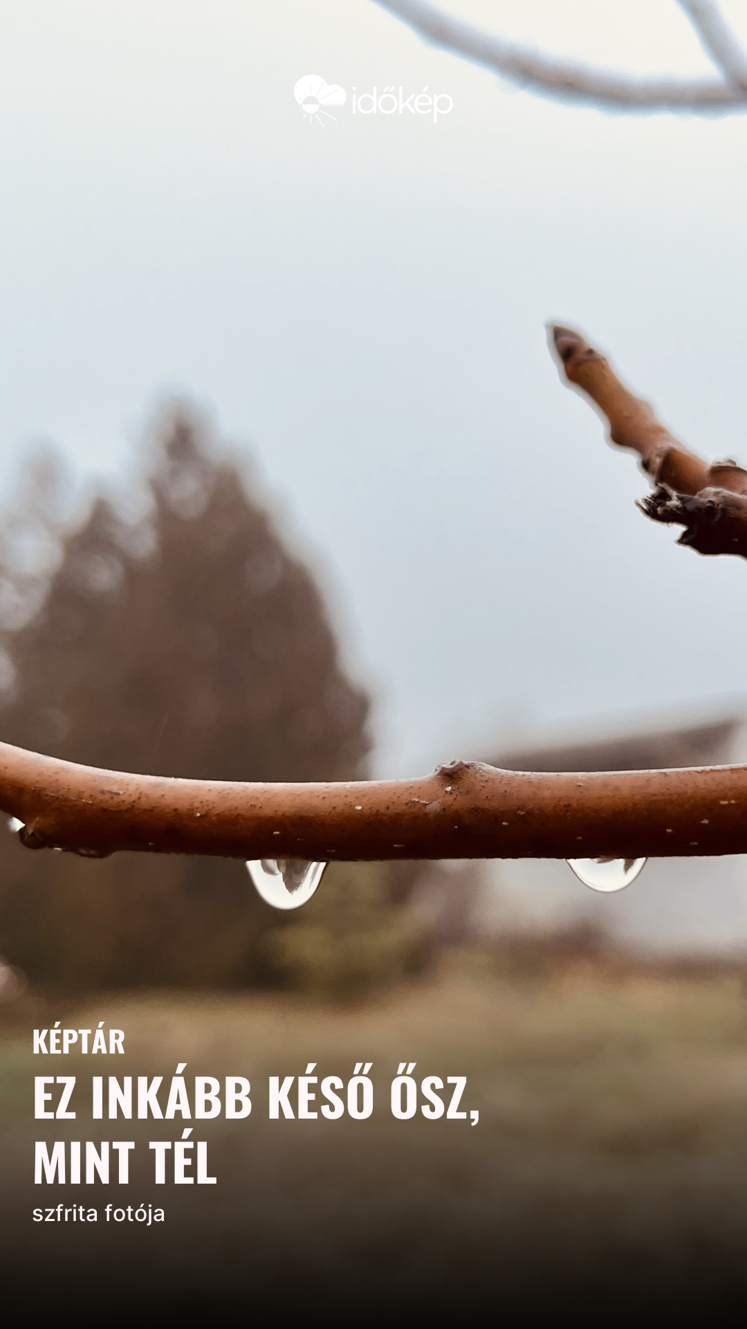 Ez inkább késő ősz, mint tél