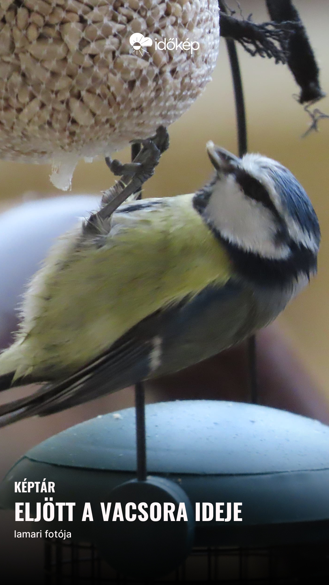 Eljött a vacsora ideje