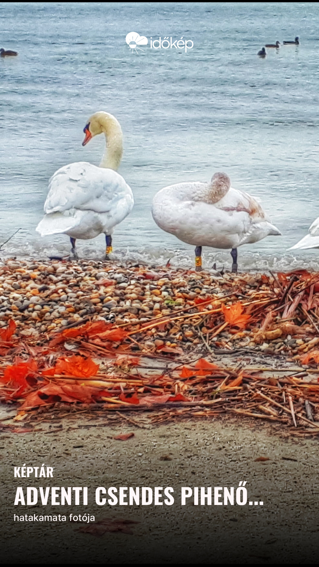 Adventi csendes pihenő...