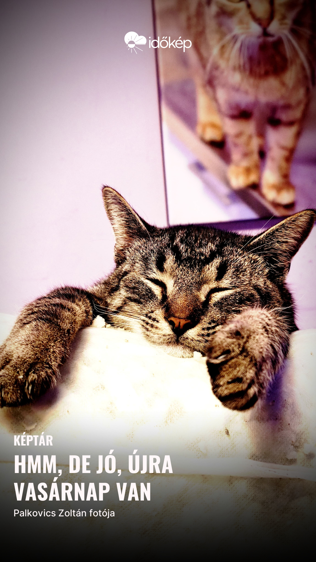 Hmm, de jó, újra vasárnap van