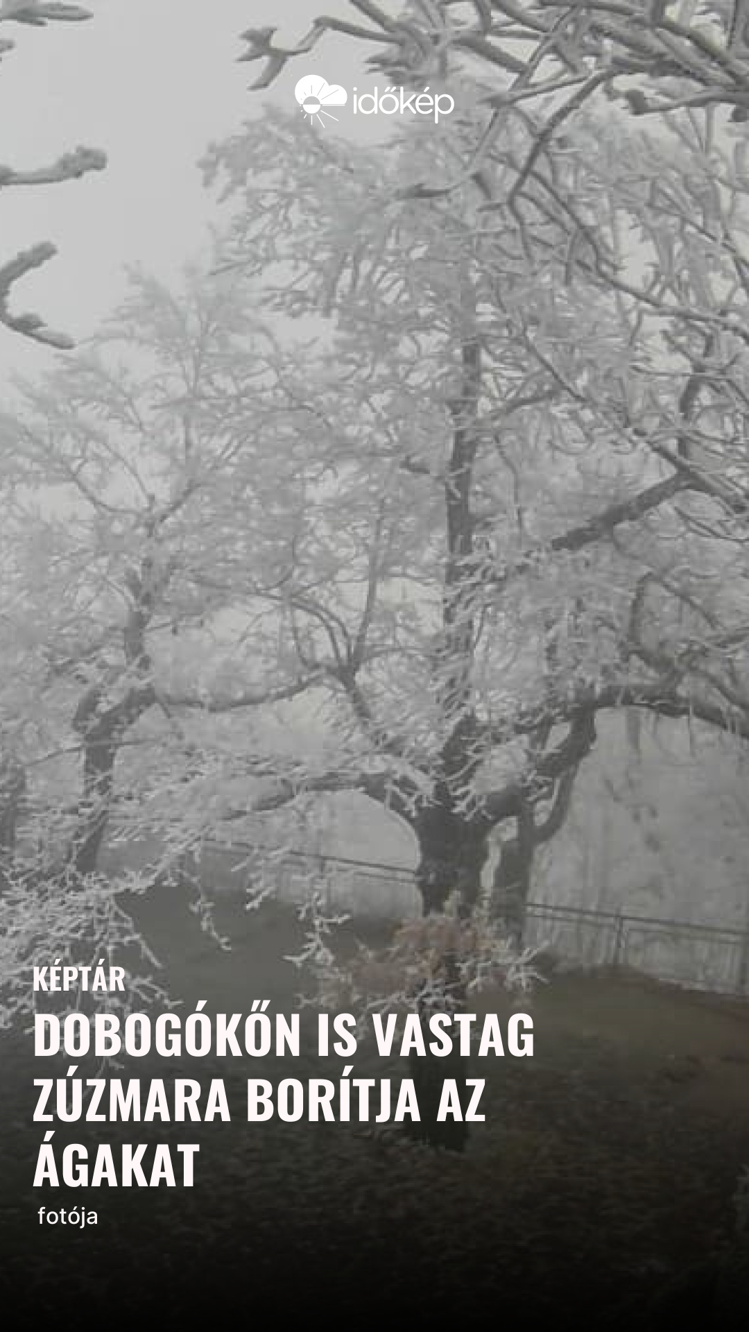 Dobogókőn is vastag zúzmara borítja az ágakat