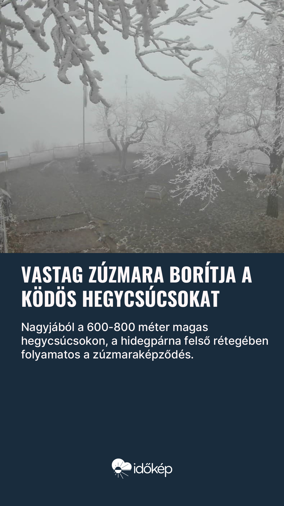 Vastag zúzmara borítja a ködös hegycsúcsokat